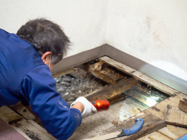 Best Affordable Mold Removal  in Guthrie, OK