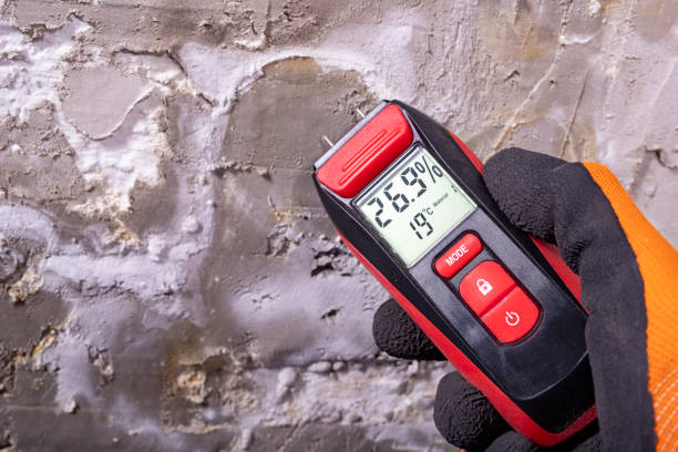 Best Mold Removal Company Near Me  in Guthrie, OK