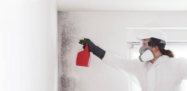 Best Professional Mold Removal  in Guthrie, OK
