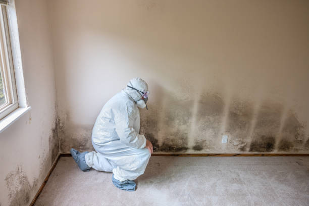Best Mold Remediation  in Guthrie, OK