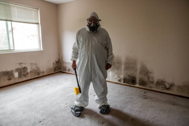 Best Local Mold Removal Service  in Guthrie, OK