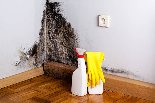Best Water Damage Restoration  in Guthrie, OK