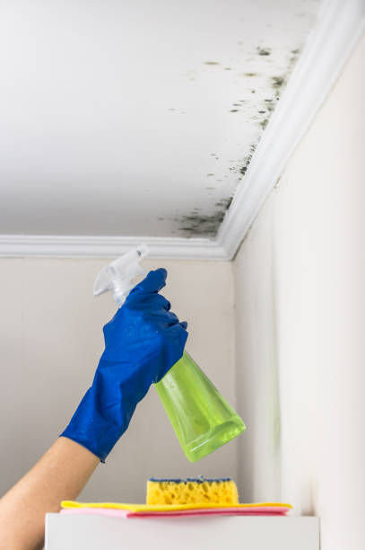 Best Mold Testing  in Guthrie, OK